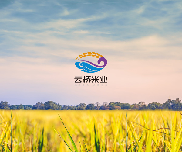 泰來大米-云橋米業(yè)品牌與包裝設(shè)計(jì)