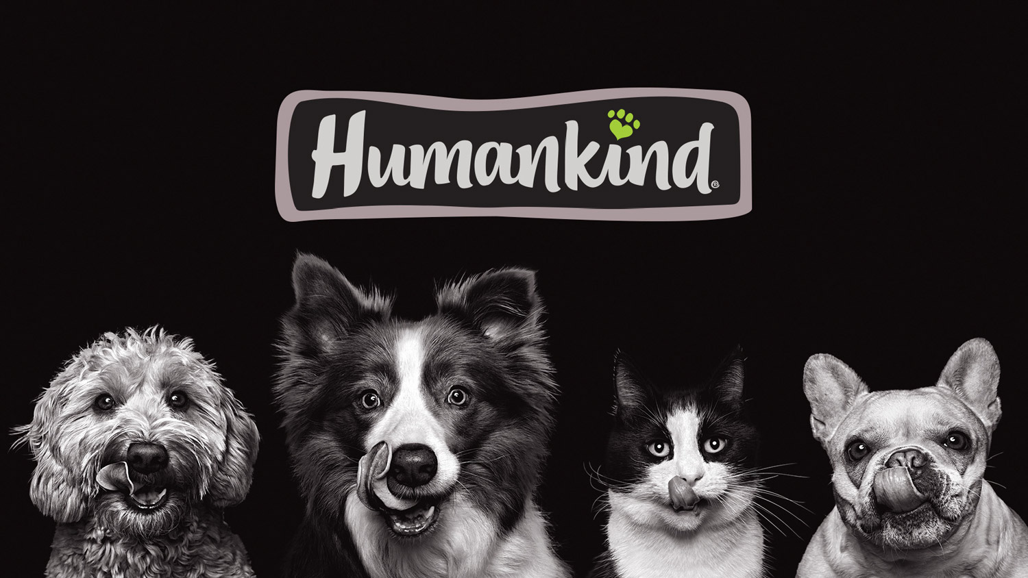 HUMANKUND狗糧系列產品包裝設計創(chuàng)意