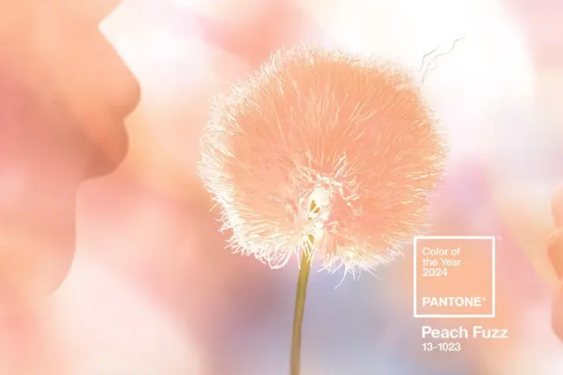 Pantone 2024年度顏色：新的一年，新的趨勢