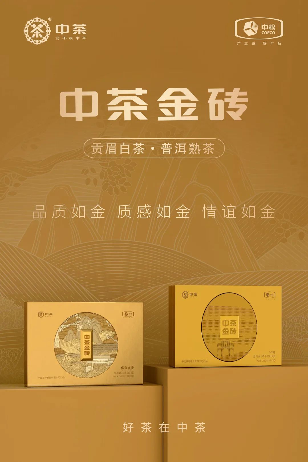 中茶金磚包裝設計