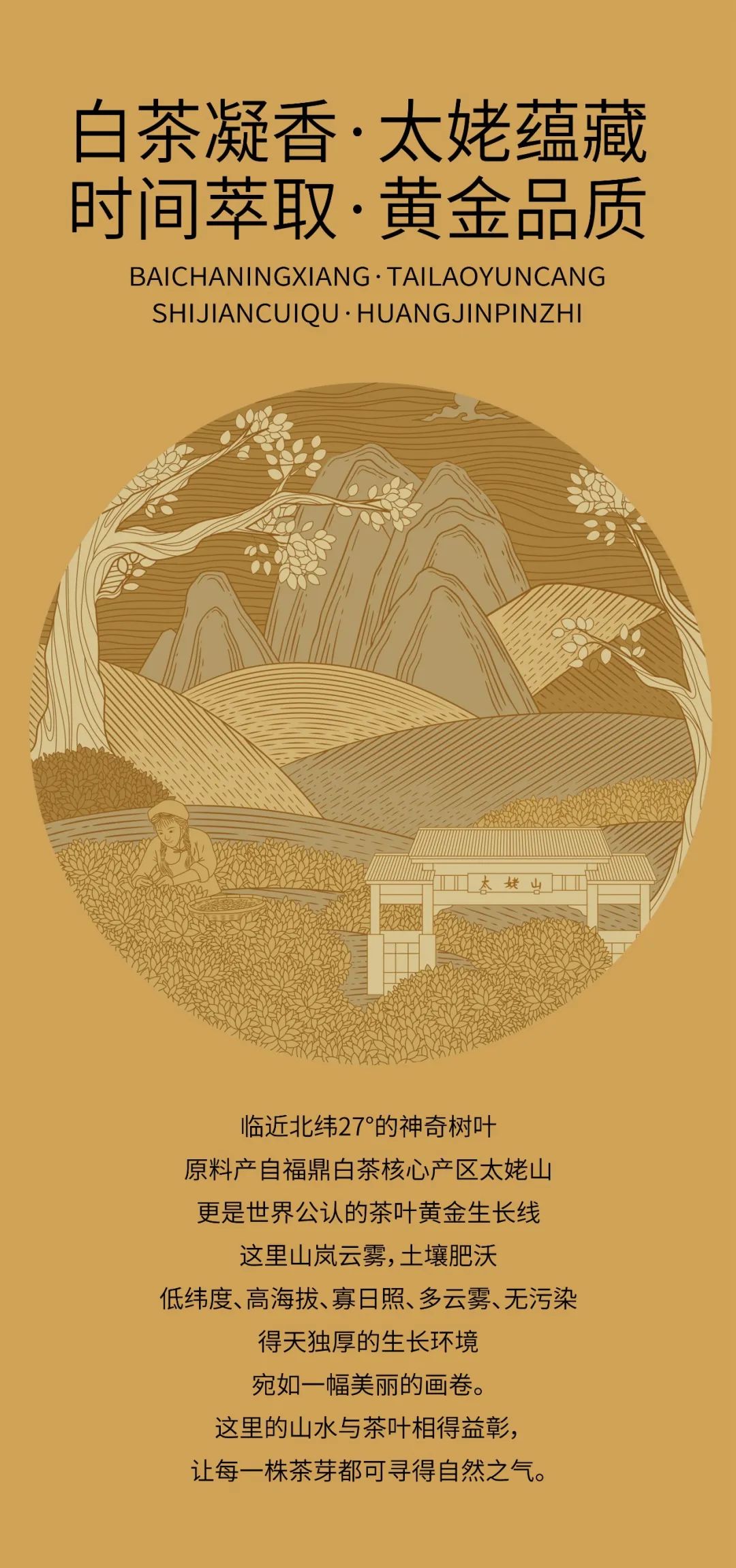 北京茶葉專業(yè)包裝設計公司